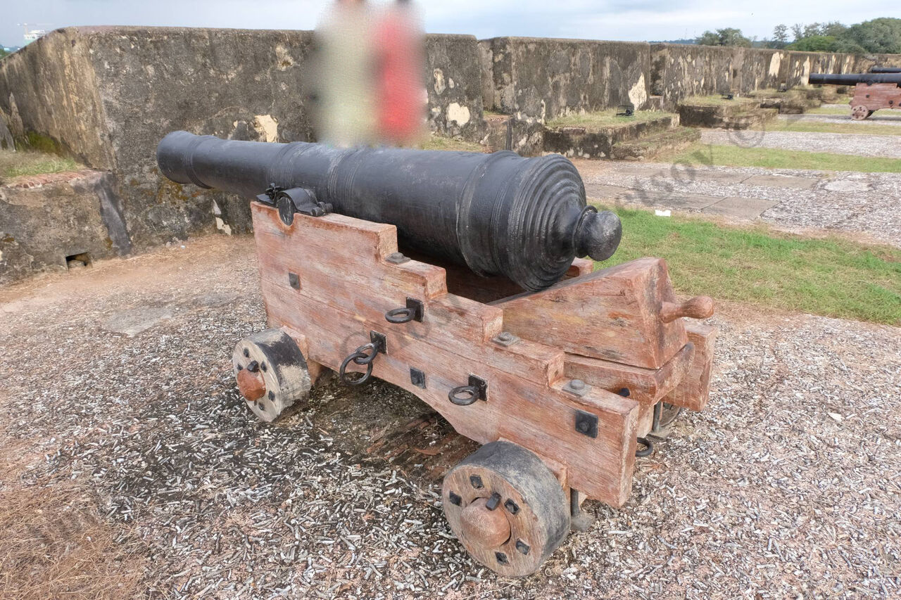 1_holland_gun_1.jpg