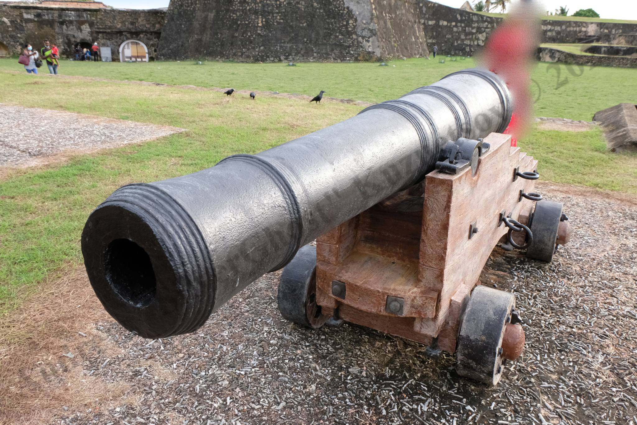 1_holland_gun_5.jpg