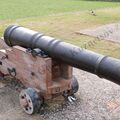 2_holland_gun_1.jpg