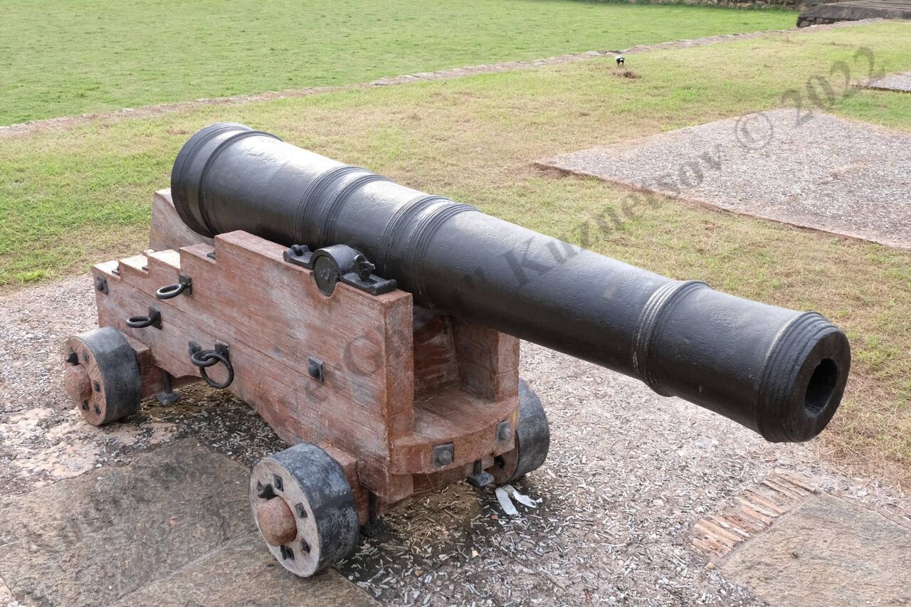 2_holland_gun_1.jpg