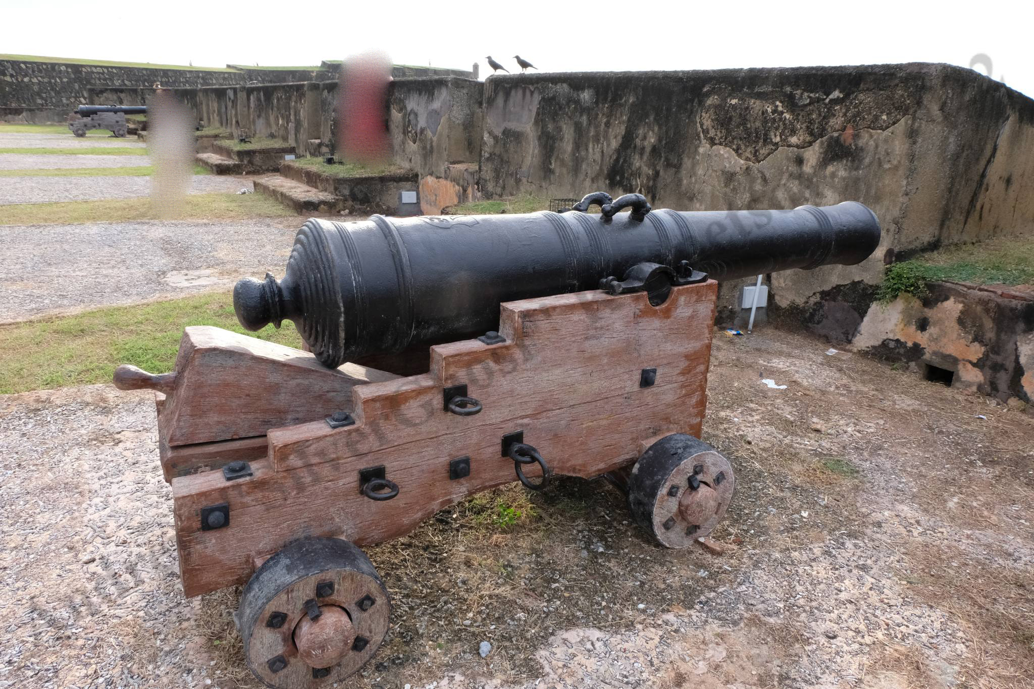 holland_gun_0.jpg