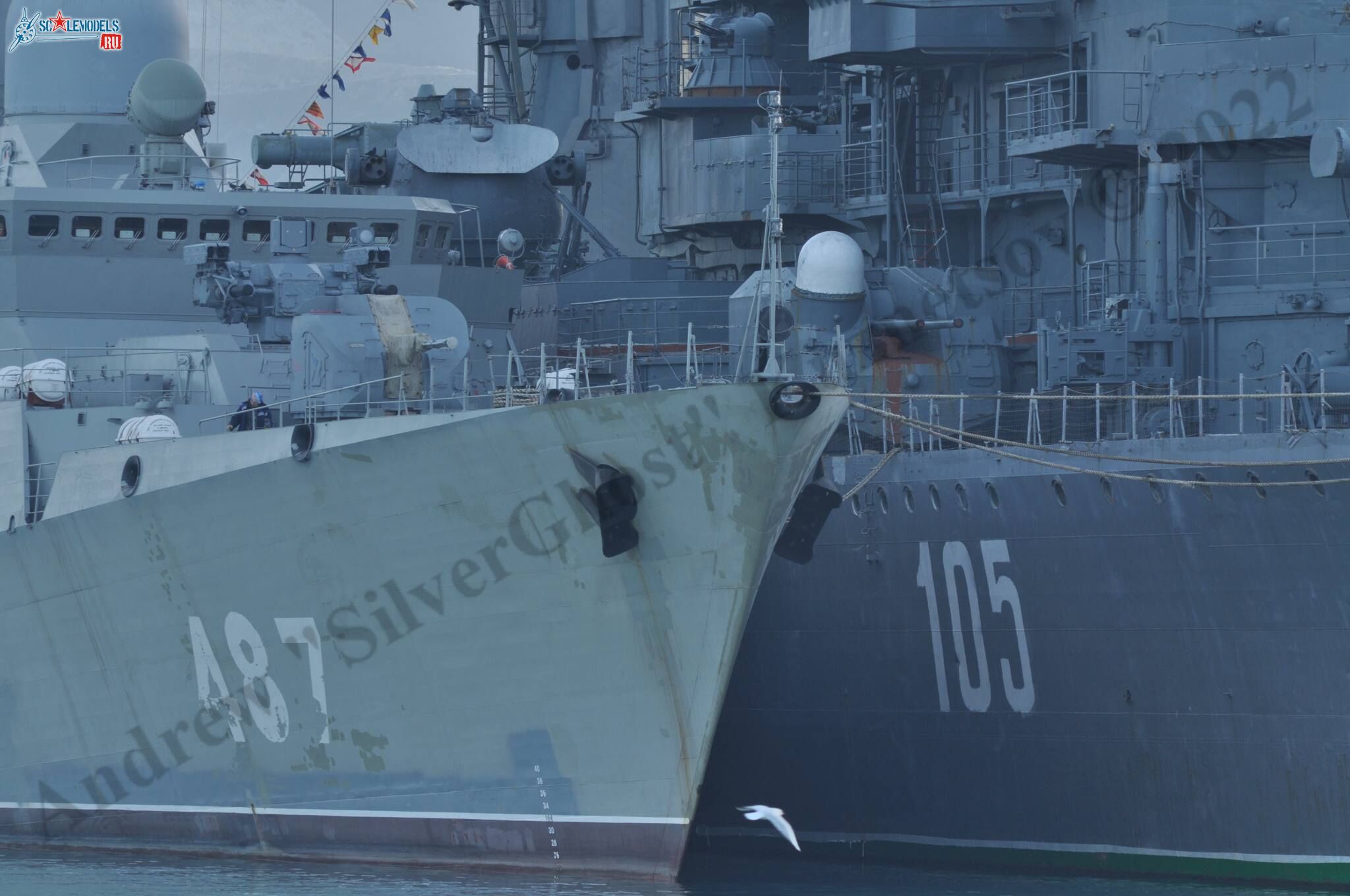 corvette_11661E_8.jpg