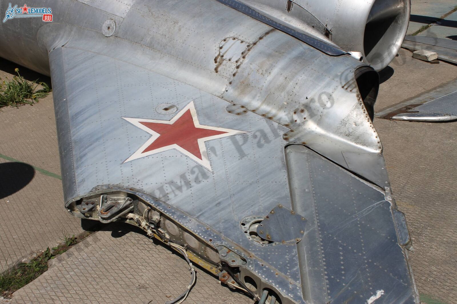 MiG-17_Patriot_97.jpg