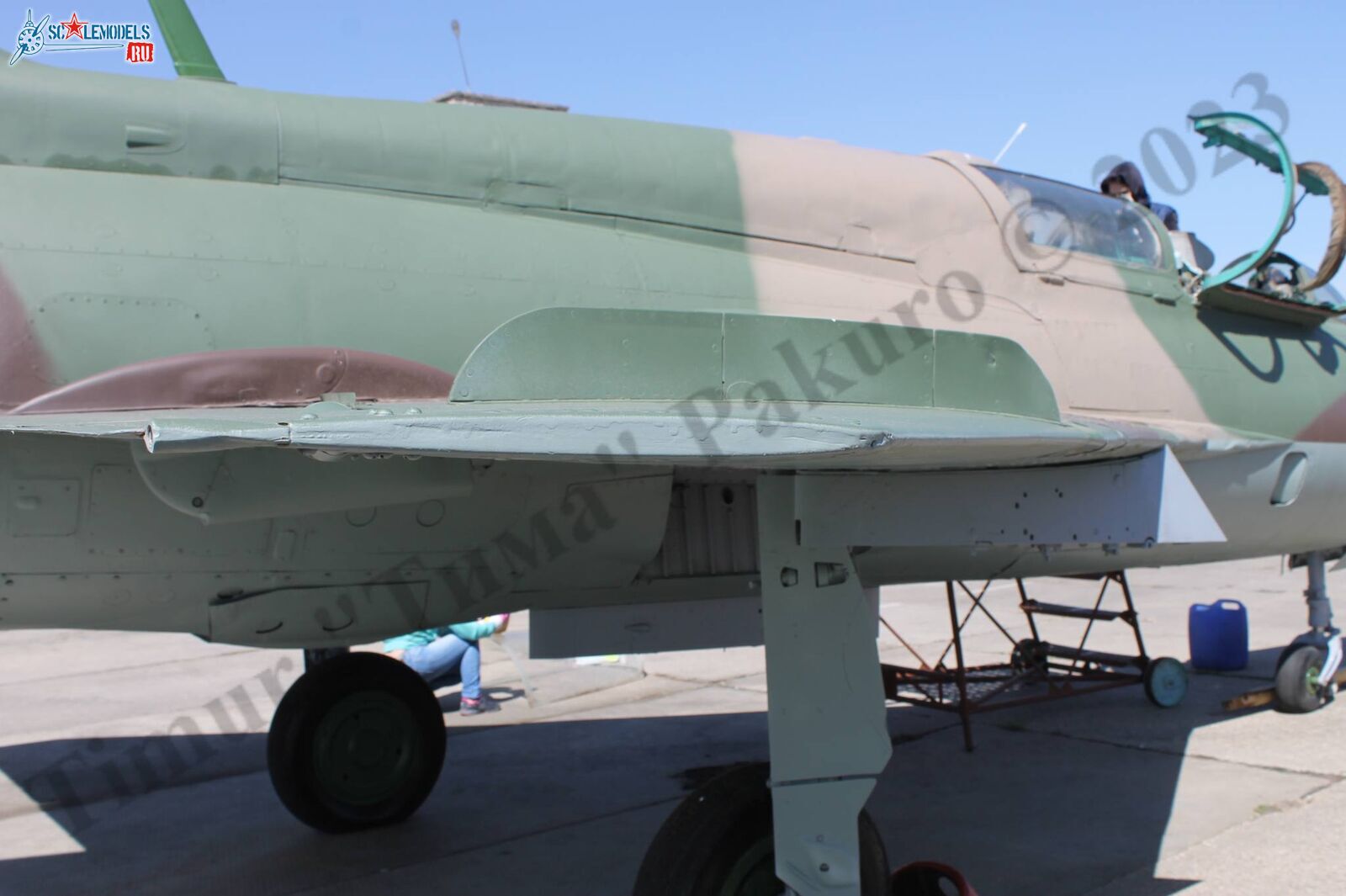 MiG-21UM_Patriot_106.jpg