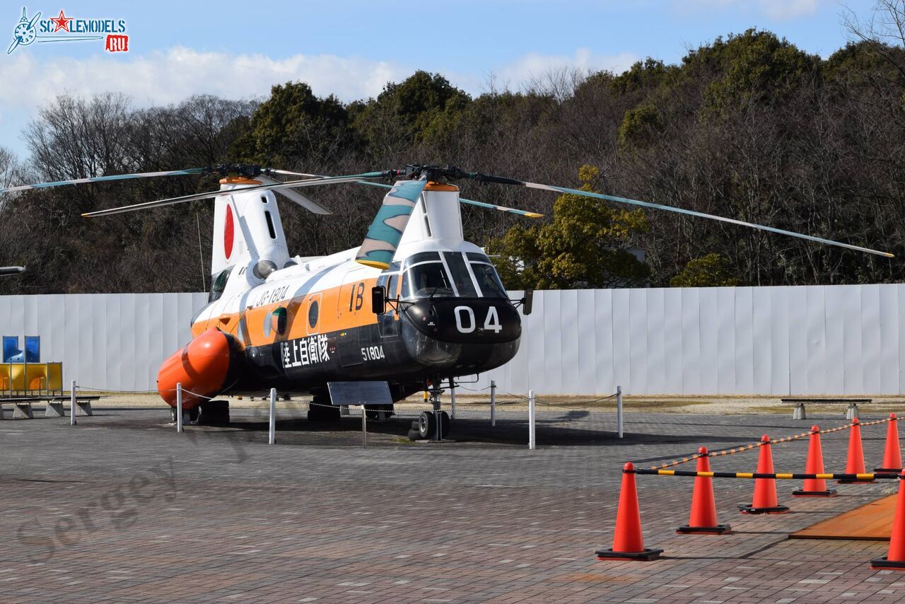 Vertol_V-107A_50.jpg