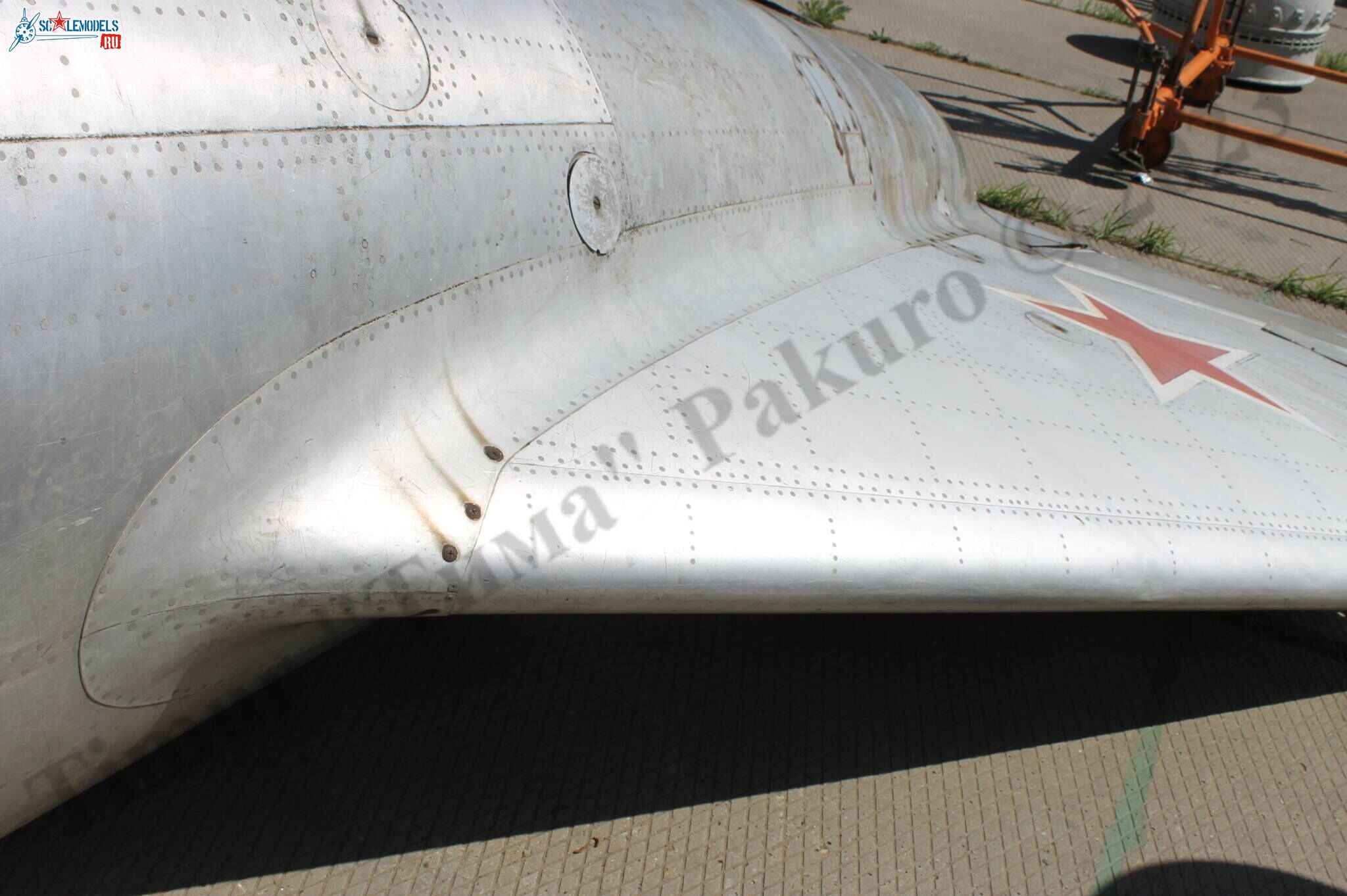 MiG-17_Patriot_100.jpg