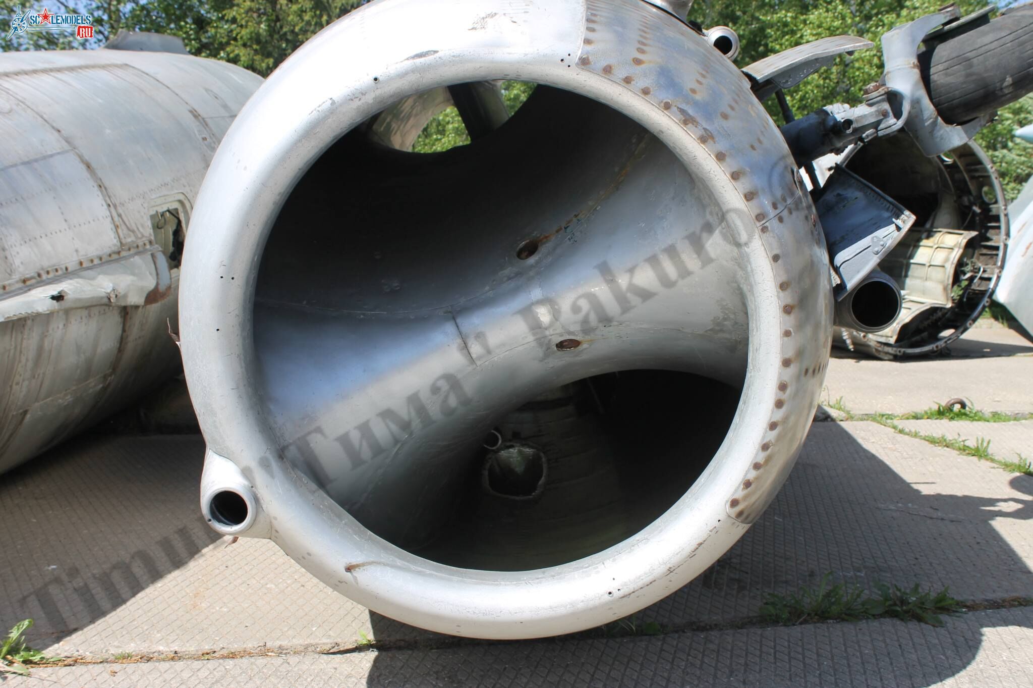 MiG-17_Patriot_80.jpg