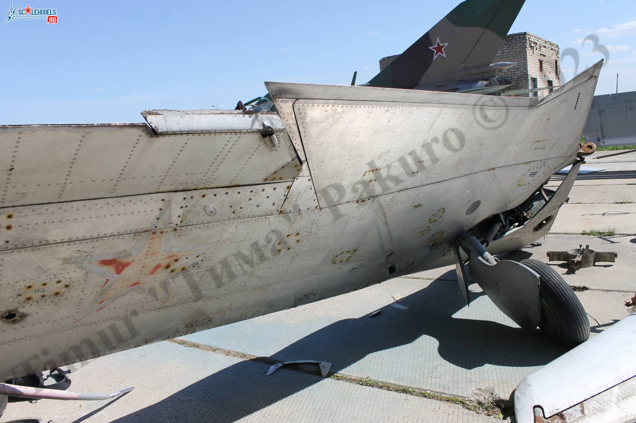 MiG-17_Patriot_9.jpg