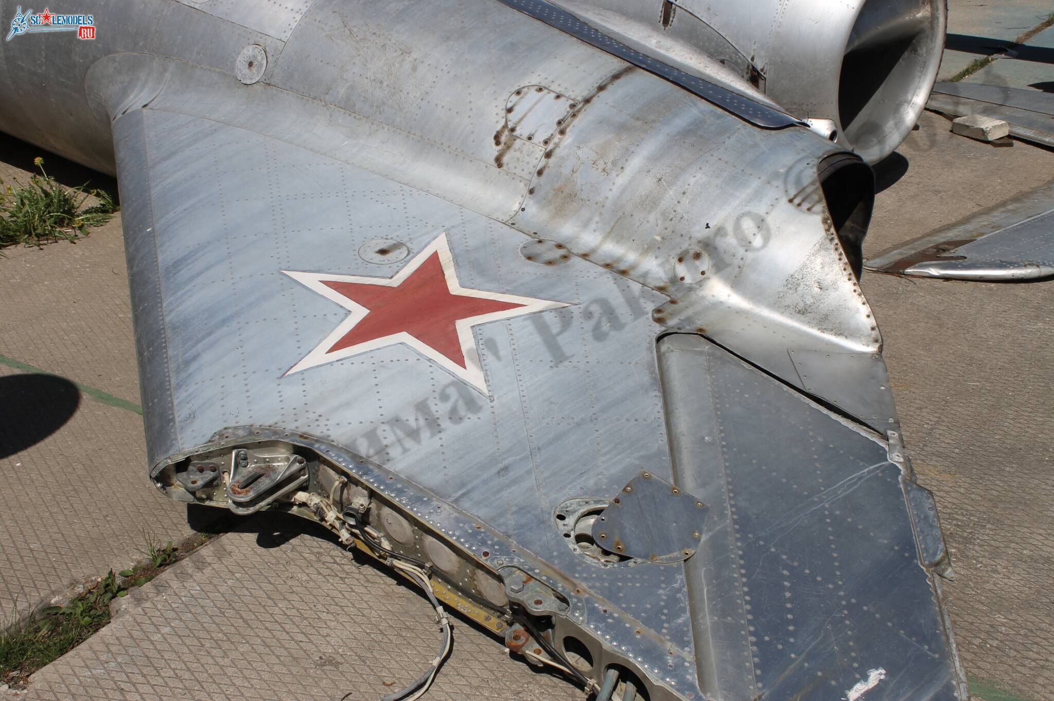 MiG-17_Patriot_97.jpg