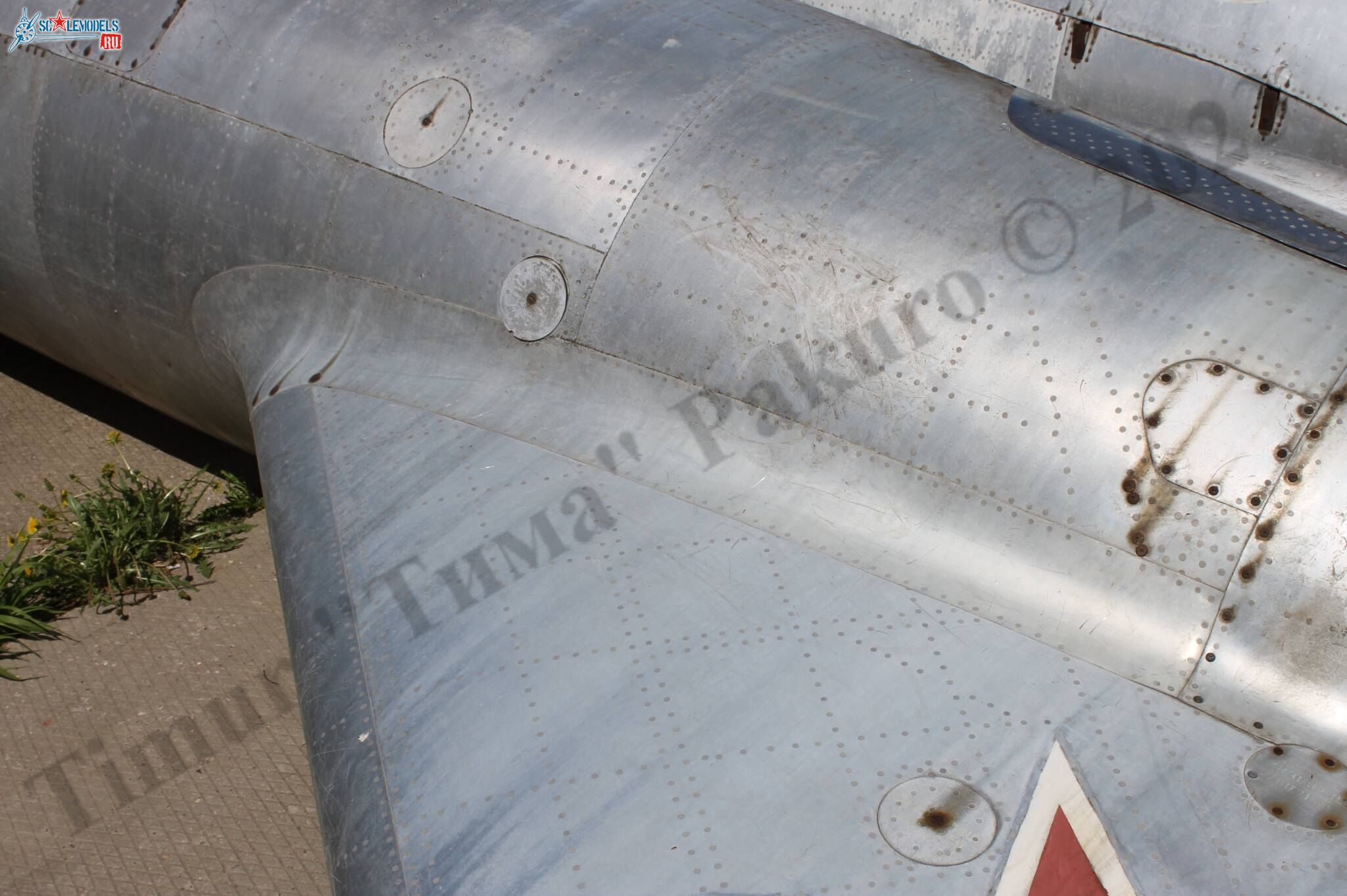 MiG-17_Patriot_98.jpg