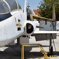 T-38_Talon_9.jpg