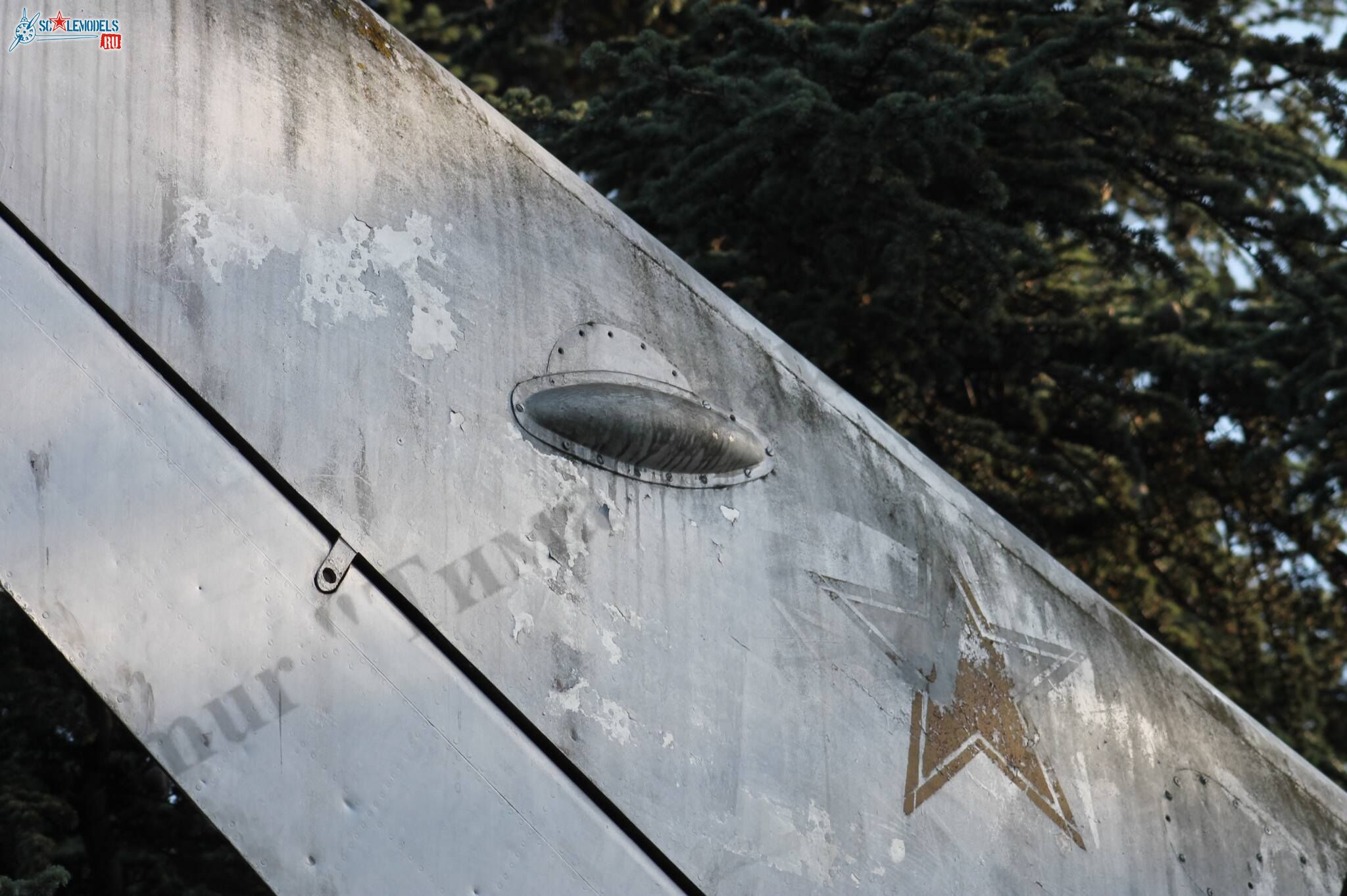 MiG-19_Sevastopol_63.jpg
