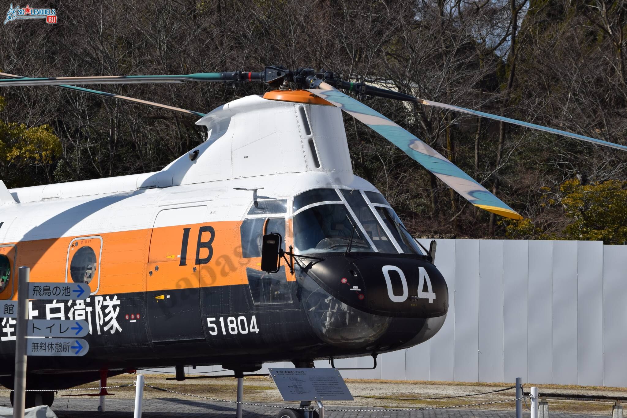 Vertol_V-107A_5.jpg