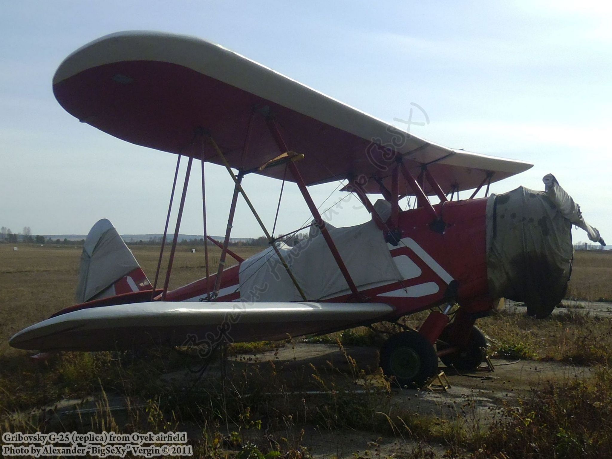 Gribovsky G-25 (replica)_Oyek_004