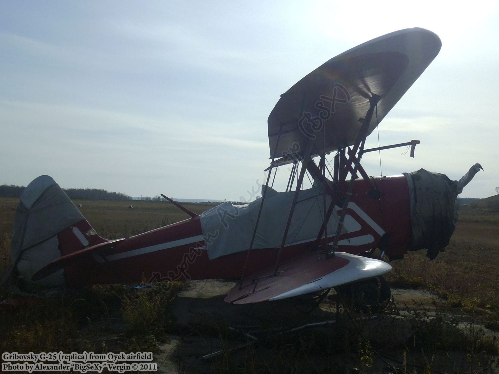 Gribovsky G-25 (replica)_Oyek_007