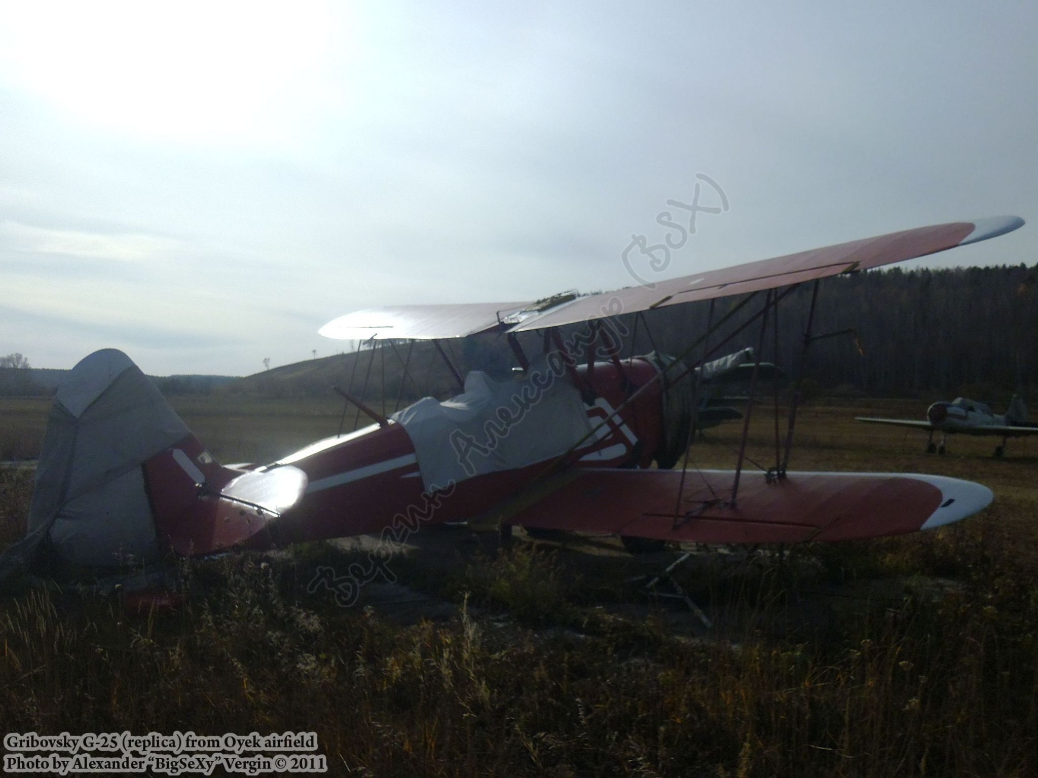 Gribovsky G-25 (replica)_Oyek_008