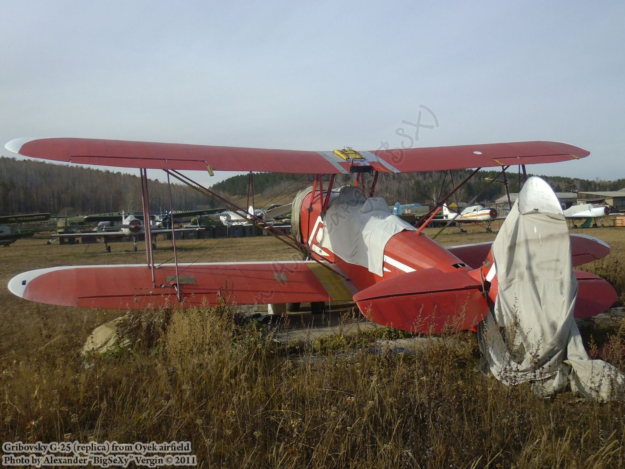 Gribovsky G-25 (replica)_Oyek_011