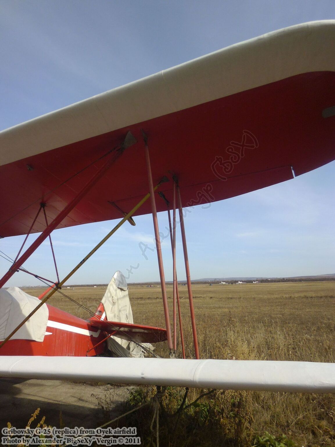 Gribovsky G-25 (replica)_Oyek_016