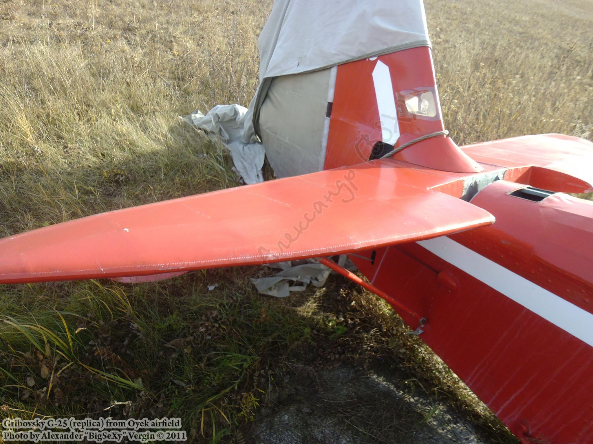 Gribovsky G-25 (replica)_Oyek_053