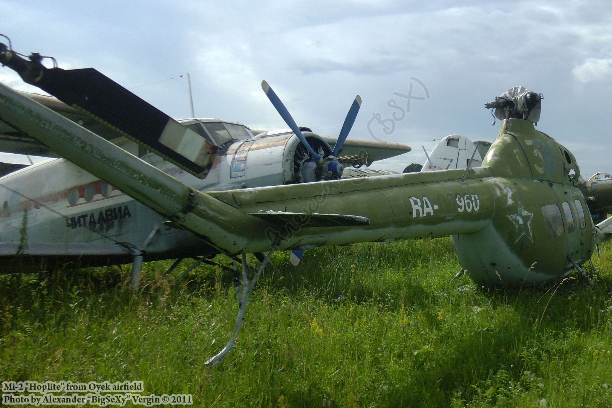 Mi-2 (RA-00960)_Oyek_005