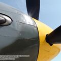 p-51d_0184.jpg