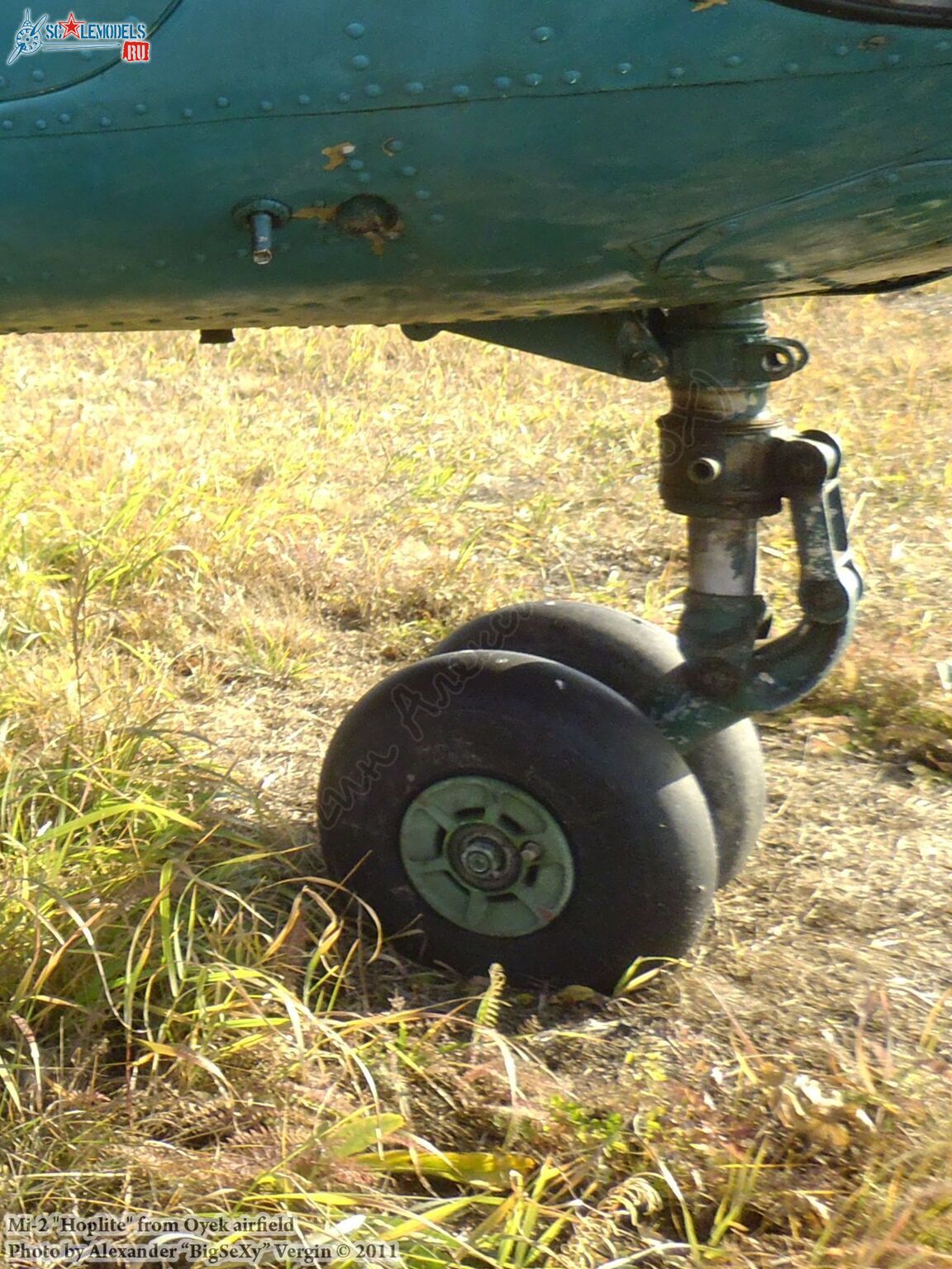 Mi-2 (RF-00343)_Oyek_029