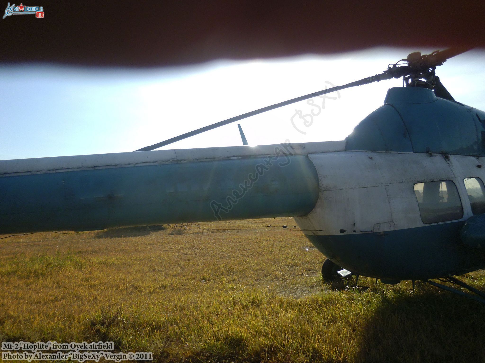 Mi-2 (RF-00343)_Oyek_018