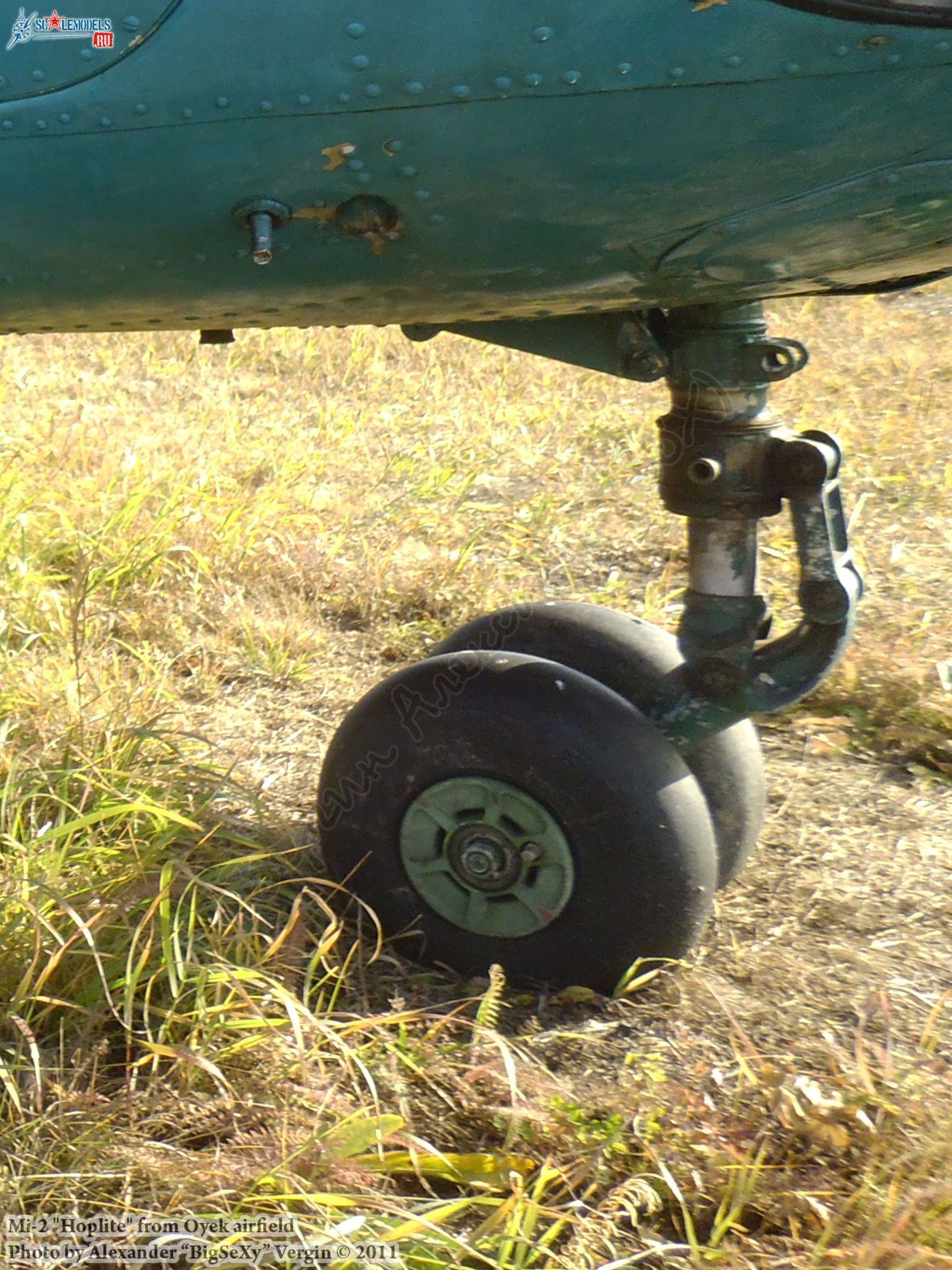 Mi-2 (RF-00343)_Oyek_029