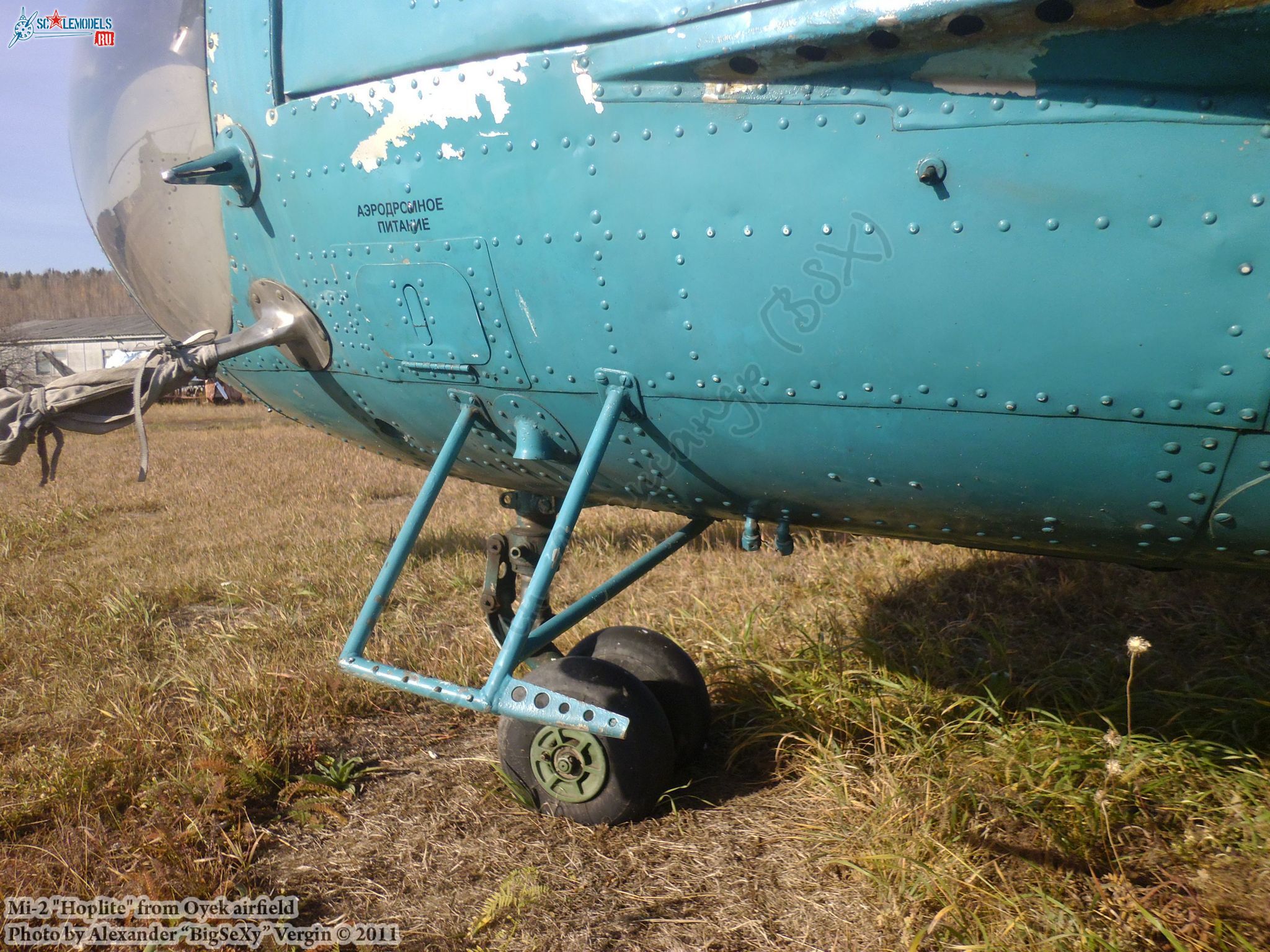 Mi-2 (RF-00343)_Oyek_048