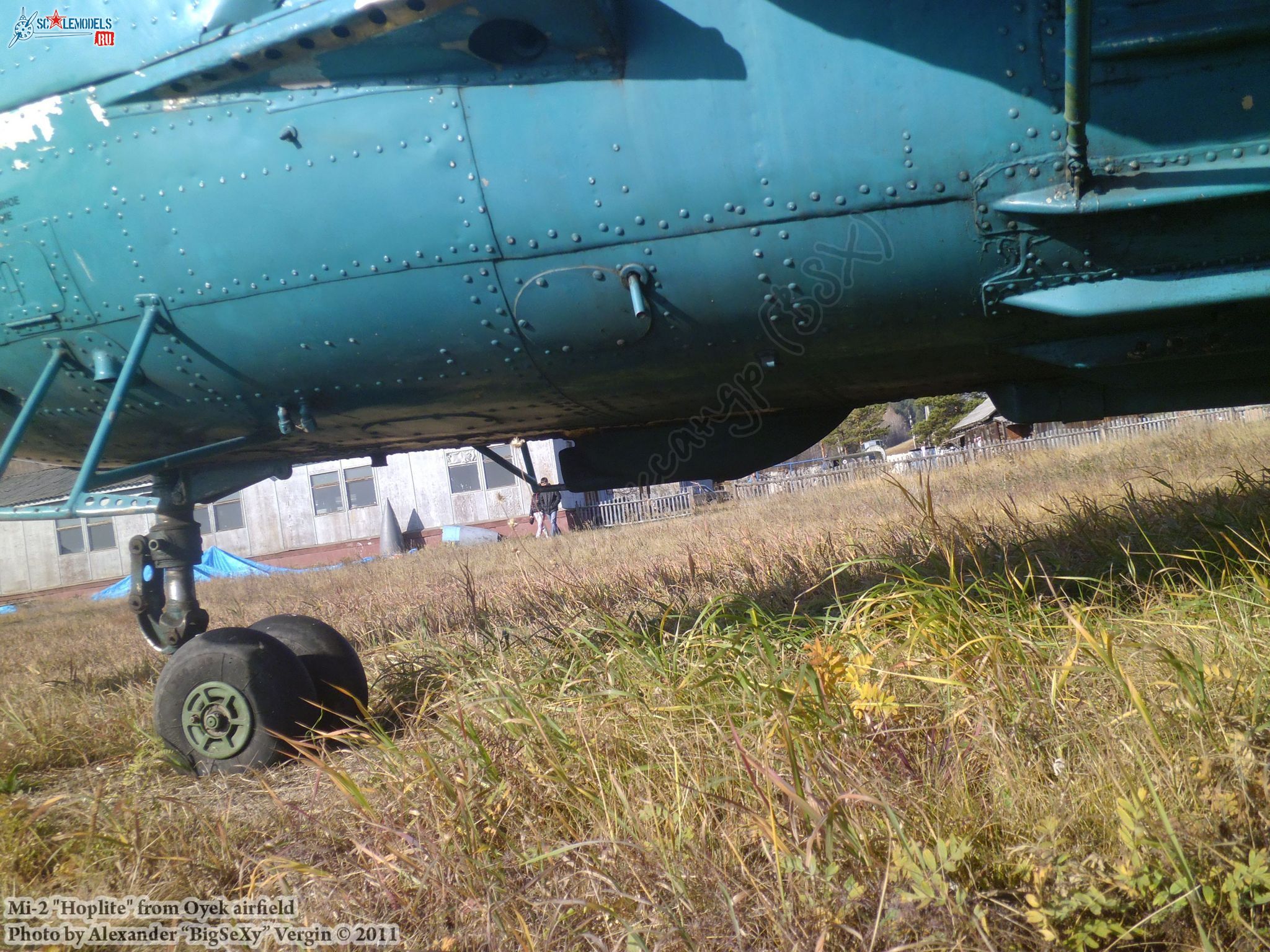 Mi-2 (RF-00343)_Oyek_050