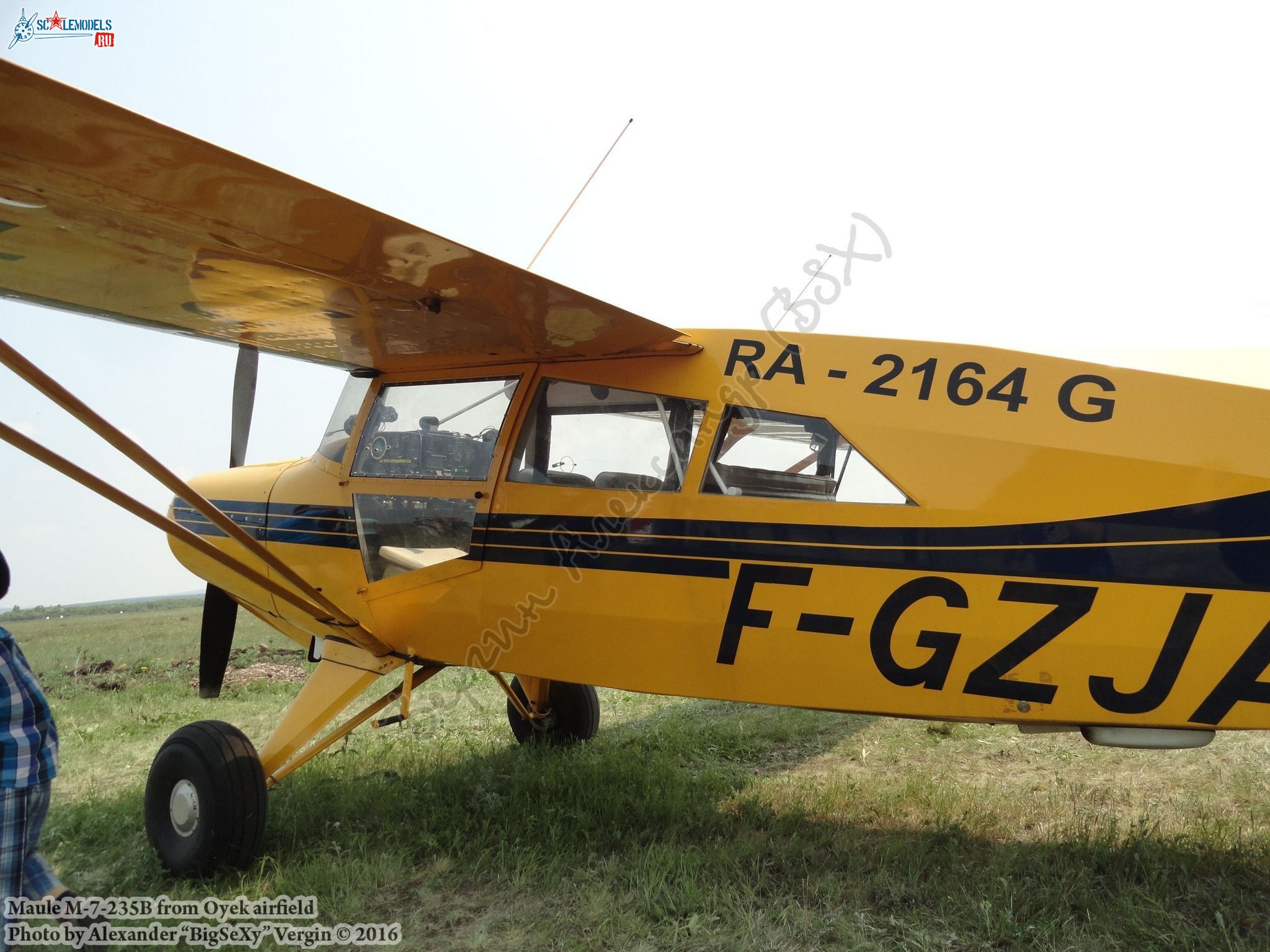 Maule M-7-235B (RA-2164G_F-GZJA)_Oyek_038