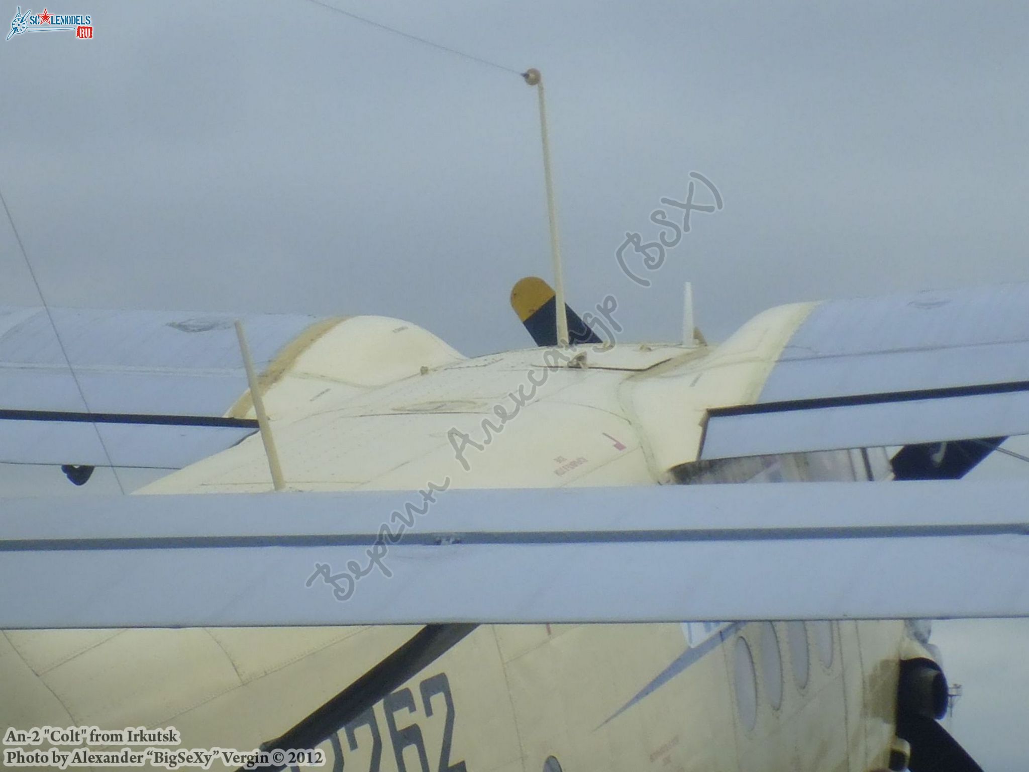 An-2 (RA-02262)_Irkutsk_012