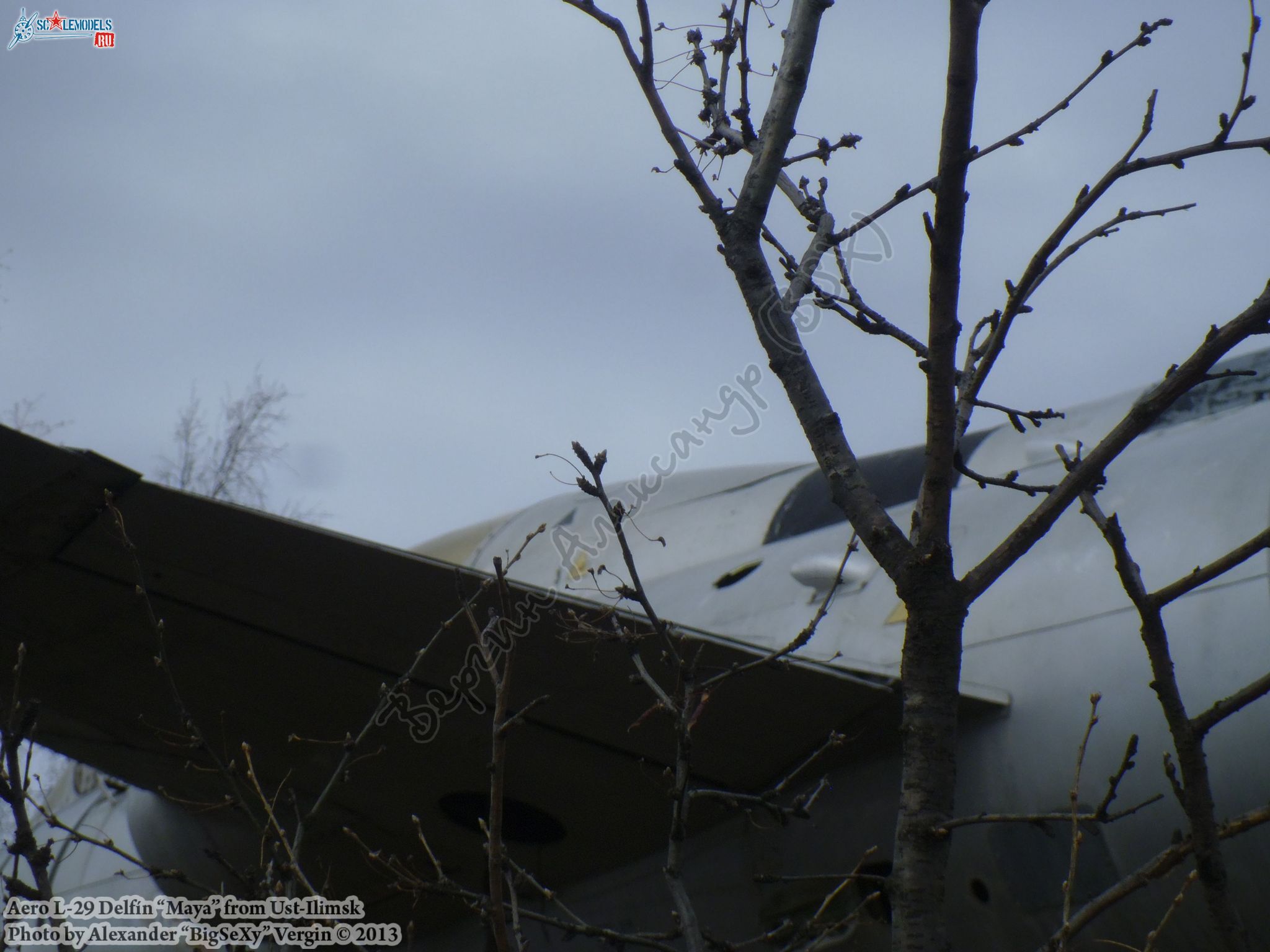 Aero L-29 (BuNo 79)_Ust-Ilimsk_118