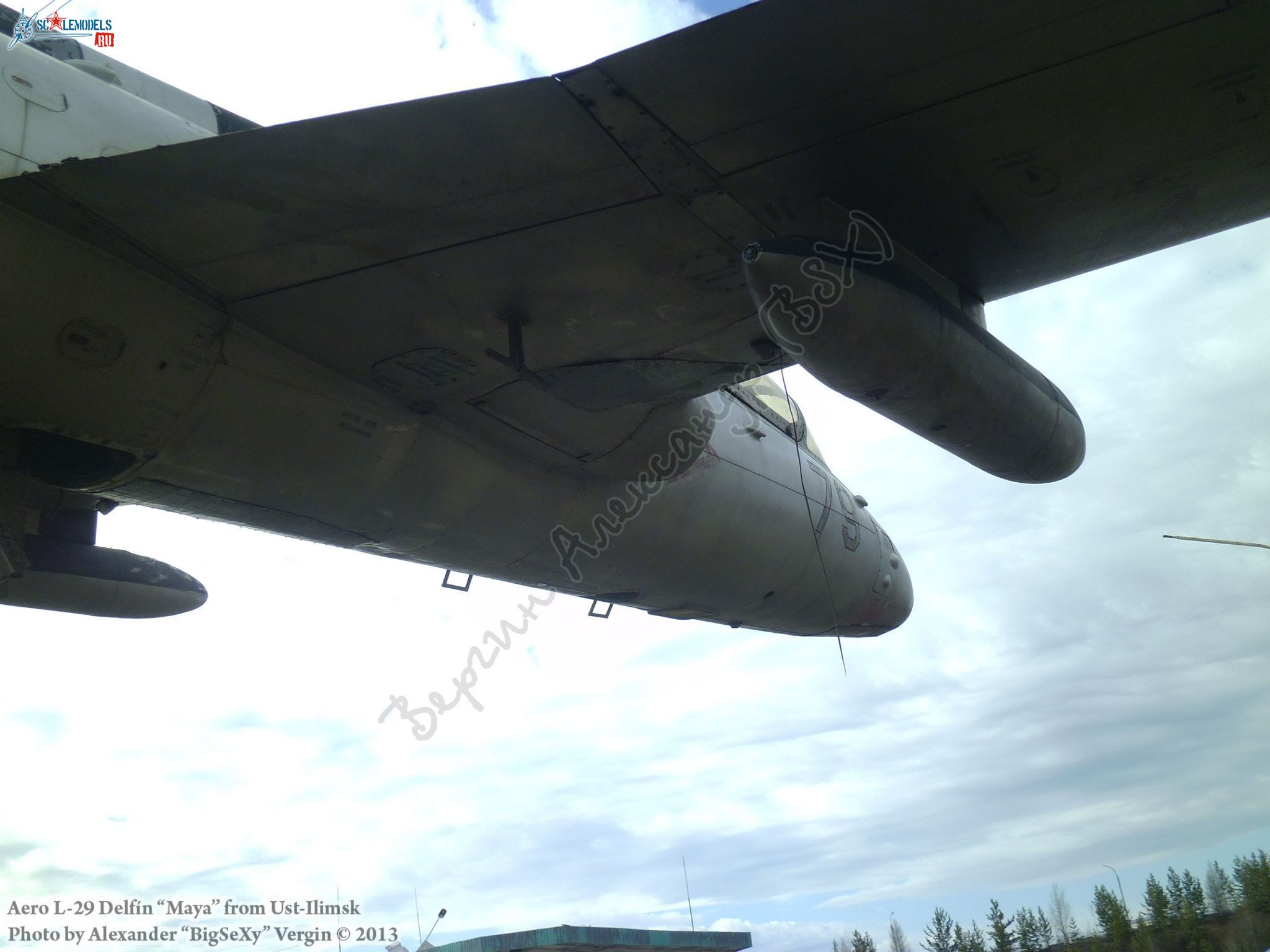 Aero L-29 (BuNo 79)_Ust-Ilimsk_265