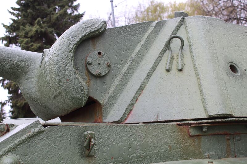 31