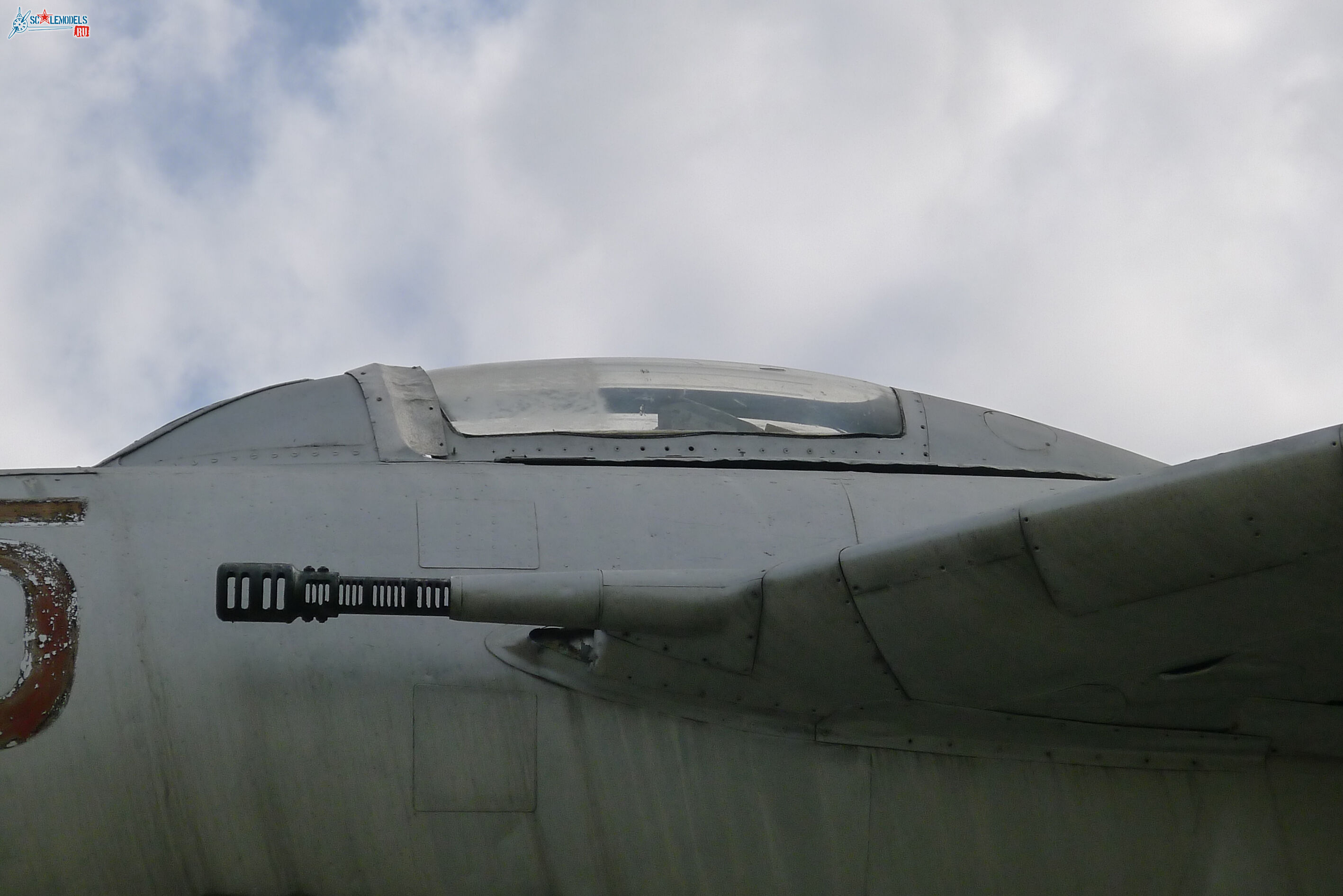 P1010198-1.jpg