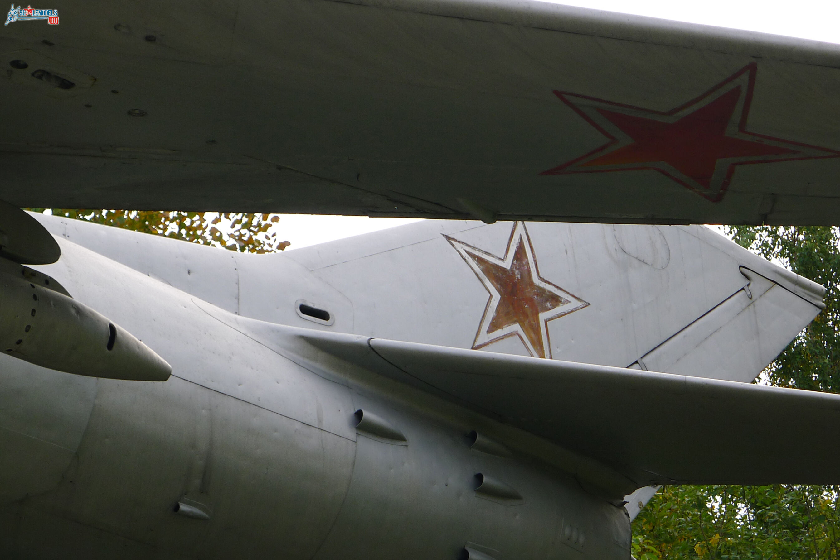 P1010199-1.jpg