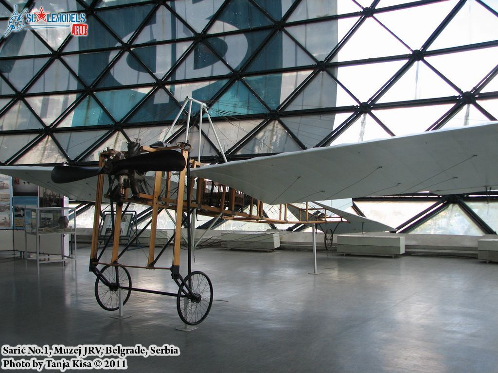 Saric-030.jpg