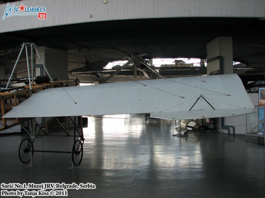 Saric-029.jpg