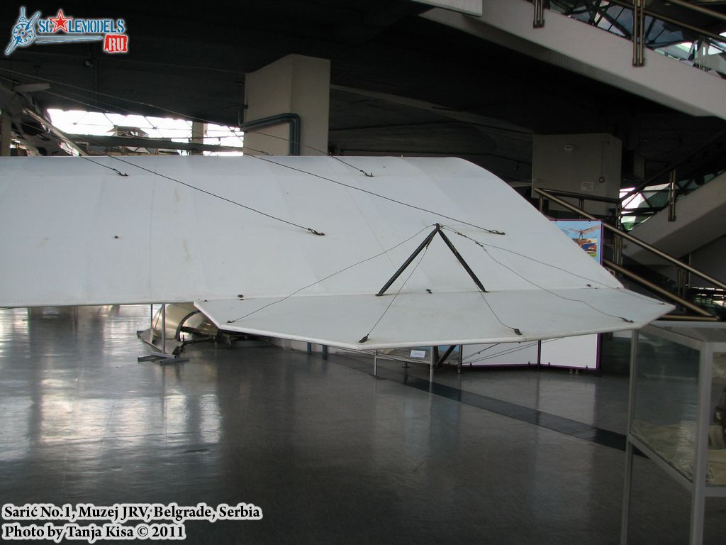 Saric-028.jpg