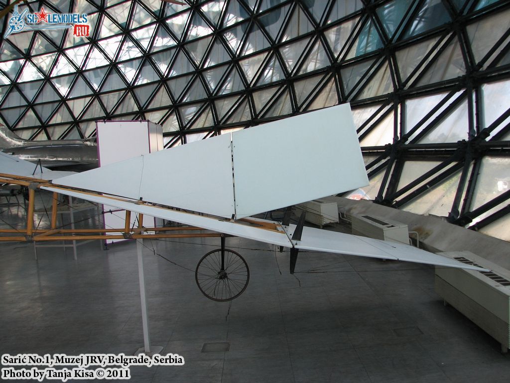 Saric-021.jpg