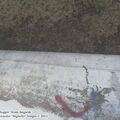 MiG-23B_476.JPG