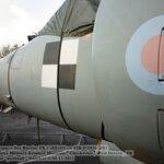 SHar10.jpg
