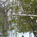P1150947.JPG