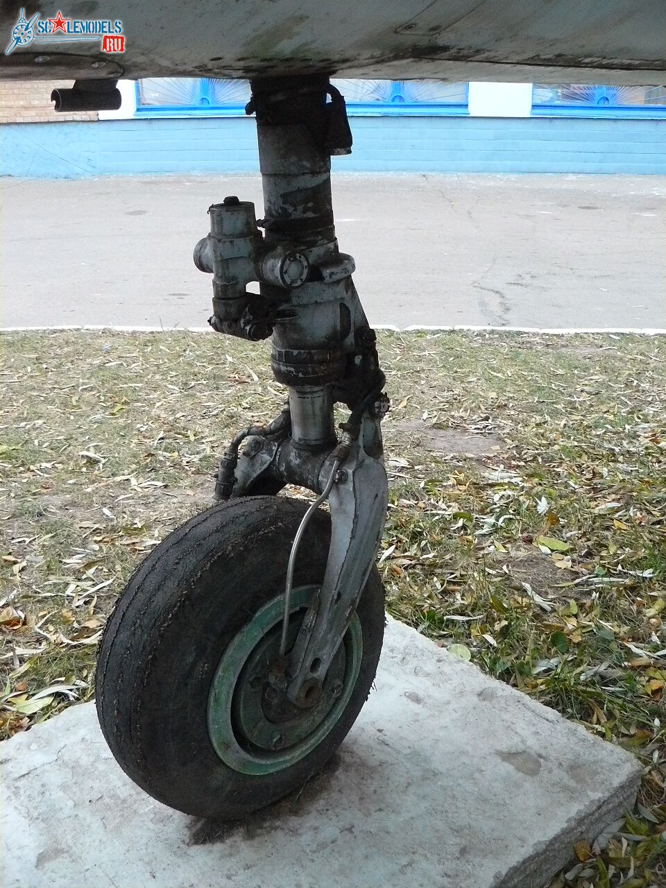 P1160206.JPG