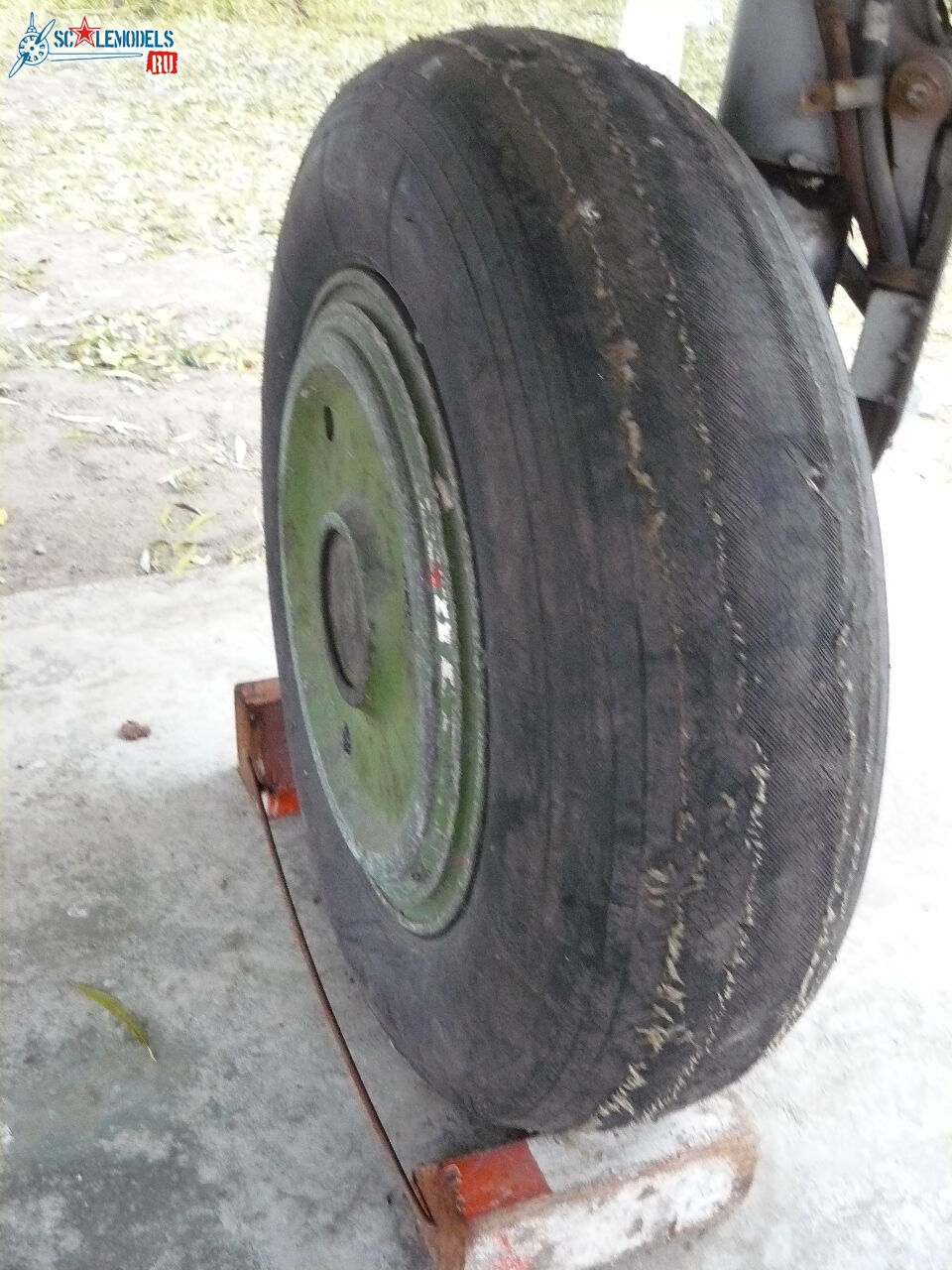 P1160174.JPG