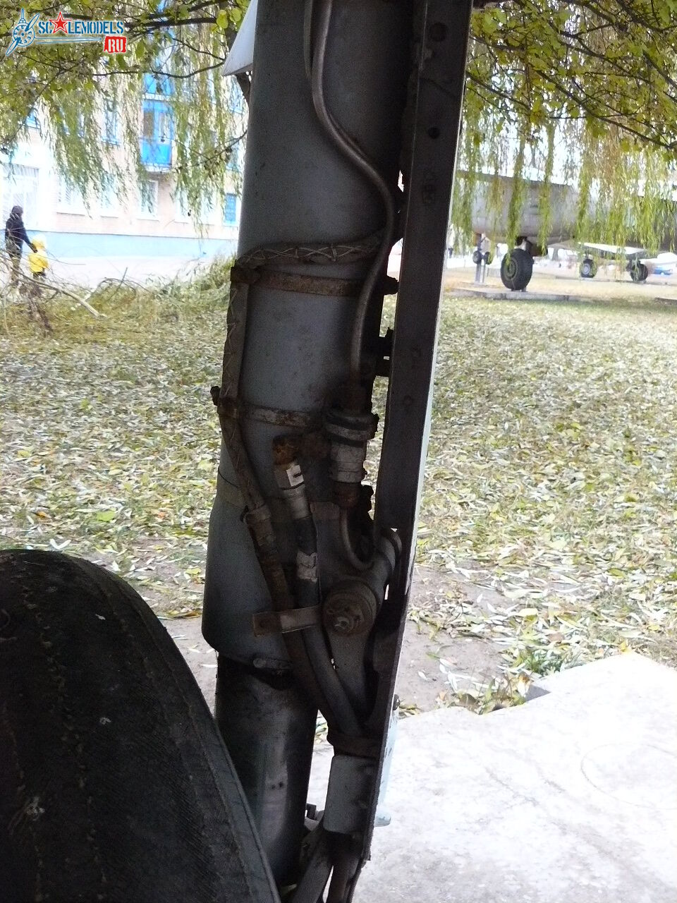 P1160173.JPG