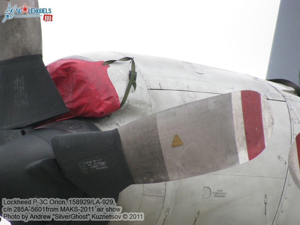 p-3c_orion_0197.jpg