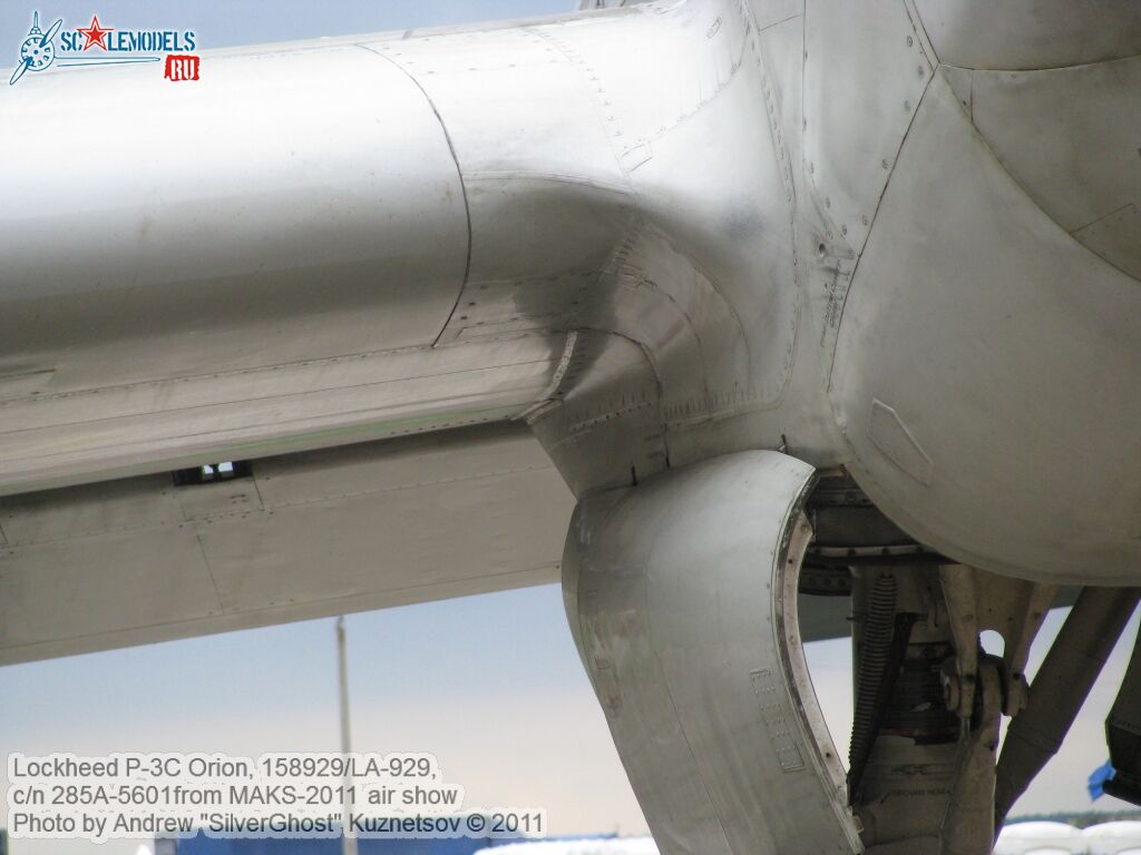 p-3c_orion_0247.jpg