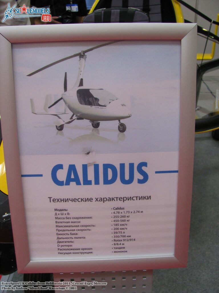 calidus_0046.jpg